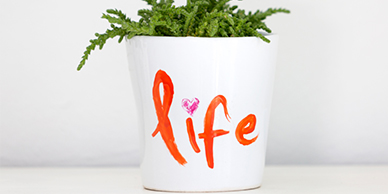 4 lecții de viață ale lui 2023